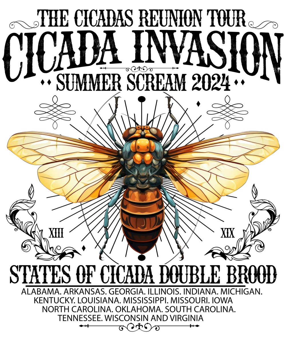 Cicada Invasion 2024